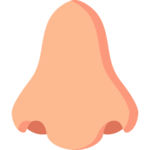 Idioms with Audios and images